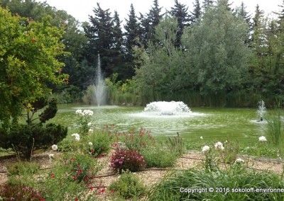 floating fountain for basin and pond